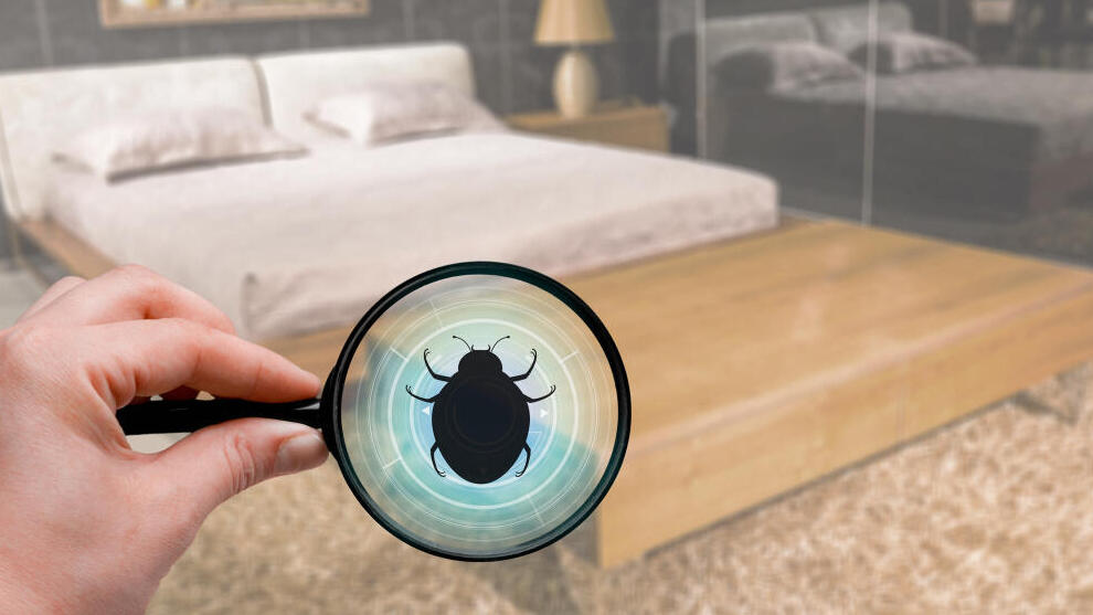 אביה הדברות - הדברת פשפש המיטה 