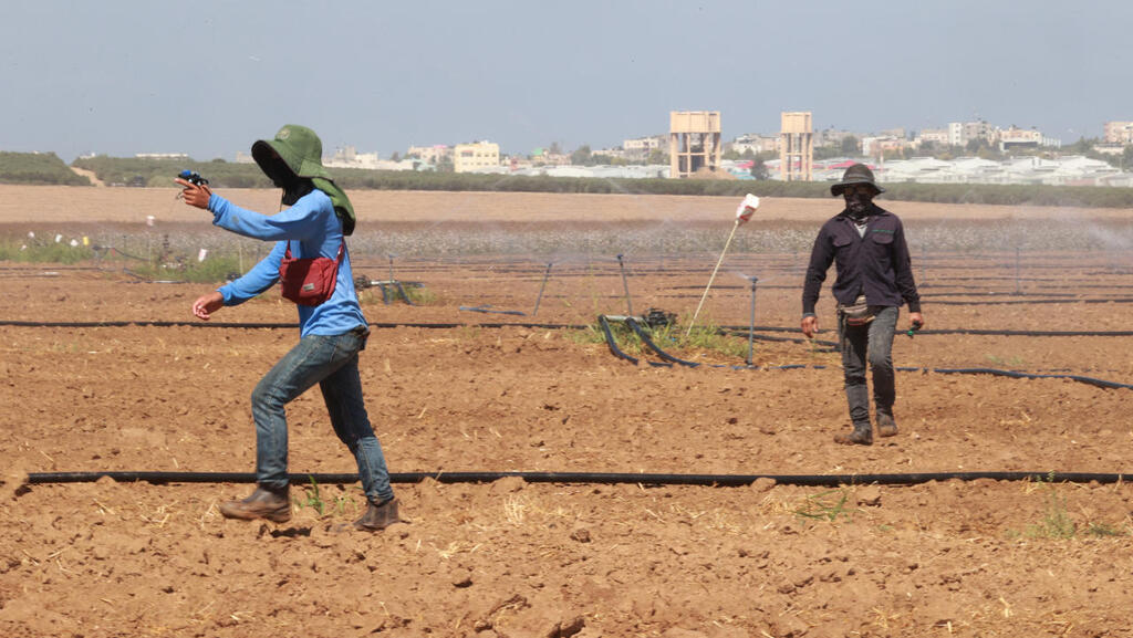 משק ללא פועלים פלסטינים: המירוץ אחרי 170 אלף עובדים זרים 
