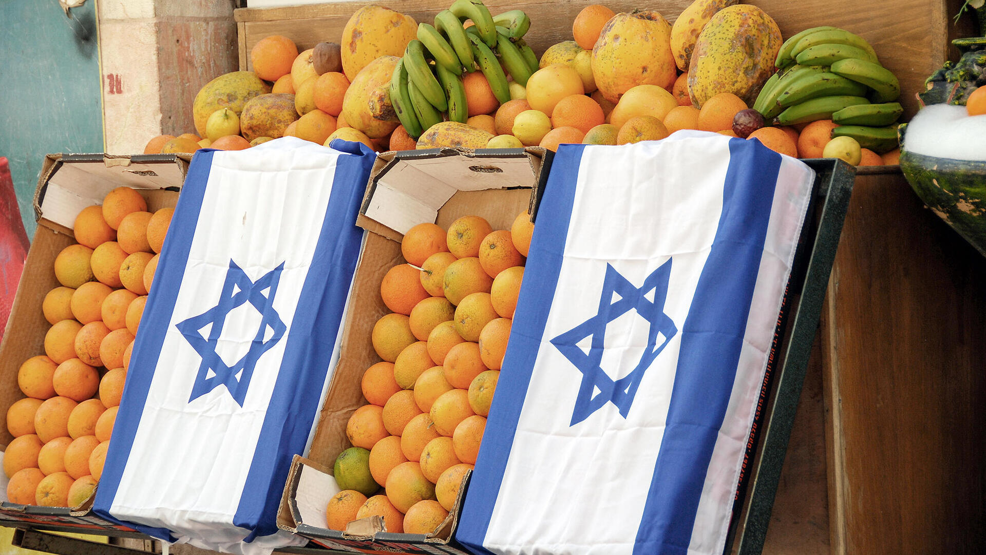 מלחמת עזה חקלאות ישראלית דגל ישראל כחול לבן מסחר איקומורס