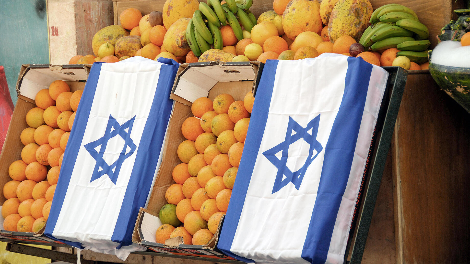 מלחמת עזה חקלאות ישראלית דגל ישראל כחול לבן מסחר איקומורס