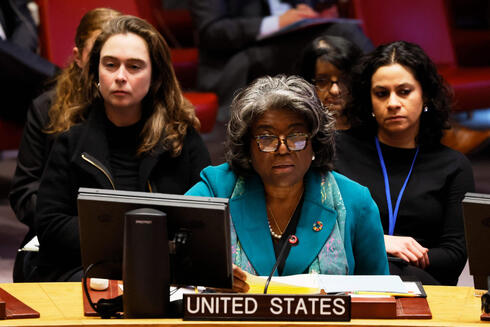 תומאס-גרינפילד בדיון באו"ם, צילום: Michael M. Santiago/Getty Images