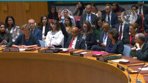 מועצת הביטחון של האו"ם, צילום: ÜN photo