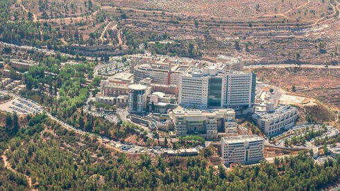 צילום: שאטרסטוק בי"ח הדסה: ייתכן עיכוב במשכורות ינואר בשל "אפליה של המדינה"; משרד הבריאות: הניהול לקוי