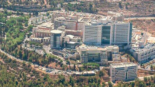 בית החולים הדסה עין כרם (צילום: שאטרסטוק) בית חולים הדסה עין כרם