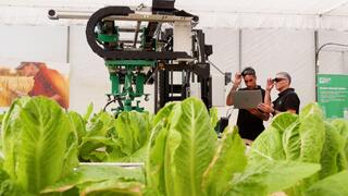 Haifa Group – Center for Agricultural Research and Development
