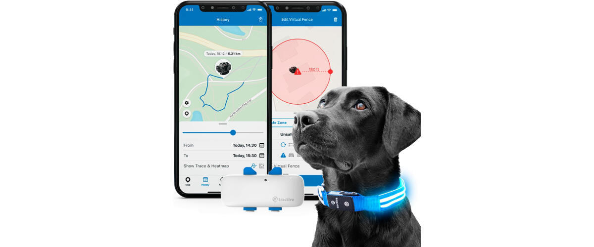 Tractive GPS Pet Tracker with LED Light Up Dog Collar - Waterproof, GPS  Location & Smart Activity Tracker, Unlimited Range (Blue, Large)