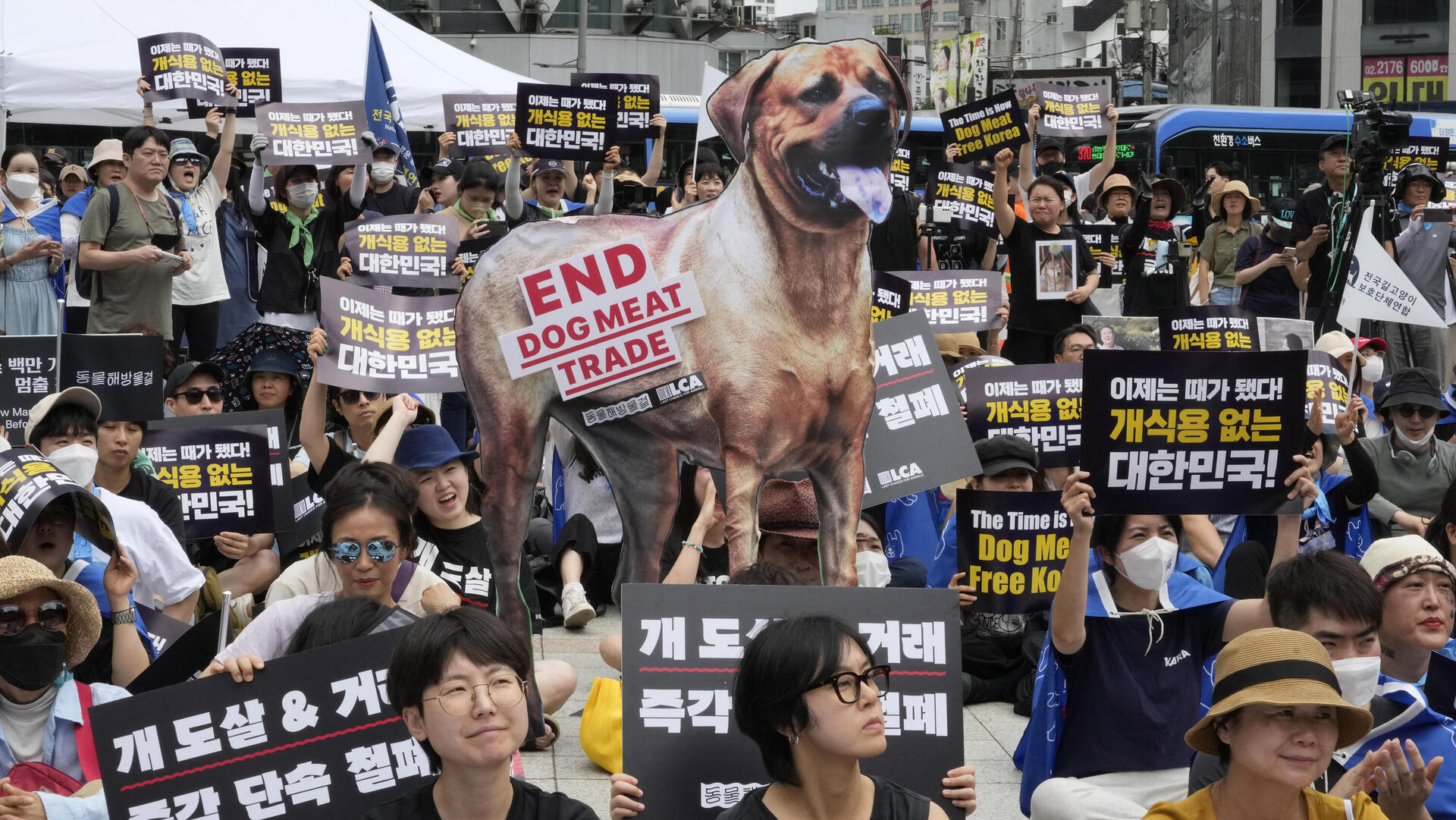 הפגנה נגד מכירת בשר כלבים דרום קוריאה