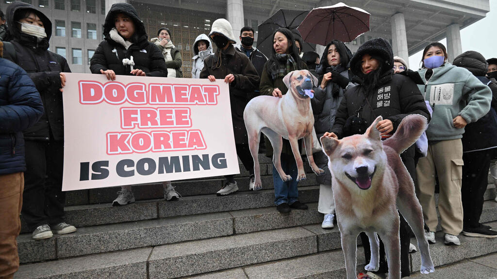  הפגנה למען זכויות בעלי חיים בדרום קוריאה