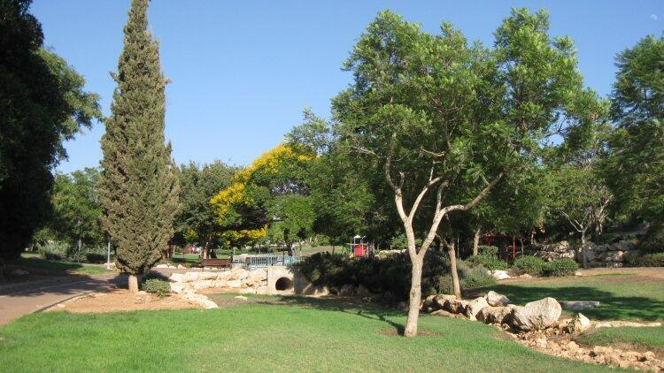 פארק באריאל. "לשים במוקד פארקים ושטחים ירוקים", להוסיף עצים"