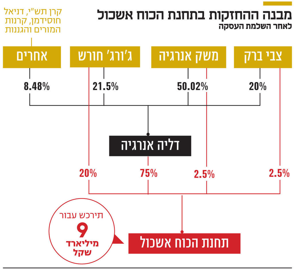 אינפו מבנה ההחזקות בתחנת הכוח אשכול