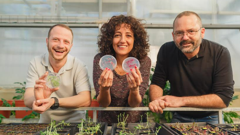 Israeli startup raises &#036;2.4 million to be the “Pfizer” of crop seed innovation 