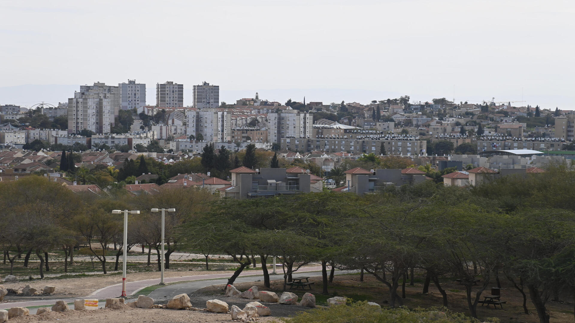 העיר דימונה 22.1.24