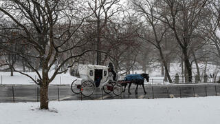  פוטו מזג אוויר קפוא ניו יורק סנטרל פארק, צילום: ANGELA WEISS / AFP