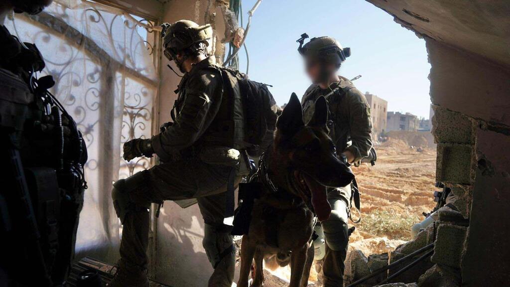 חיילים צה"ל עוקץ עם כלבים ב עזה לחימה