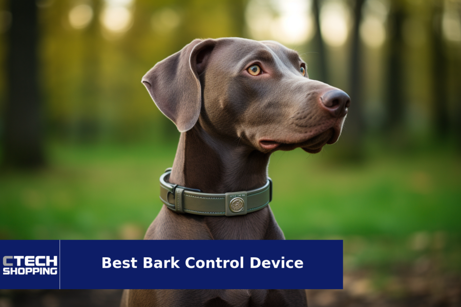 Best Bark Control Device of 2024
