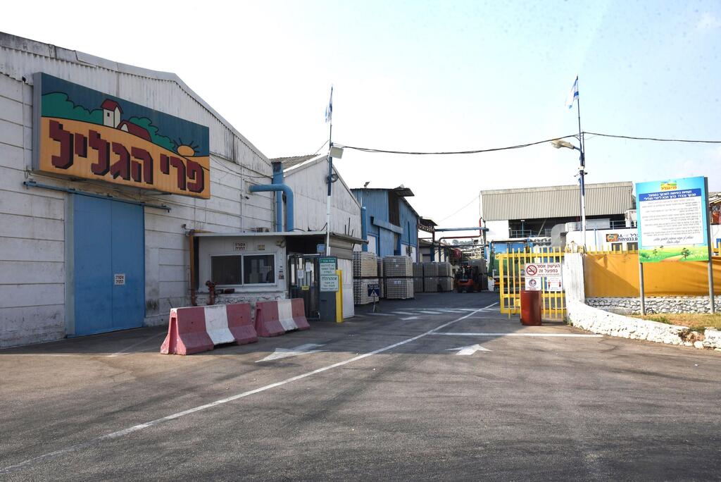 פרי הגליל בחצור