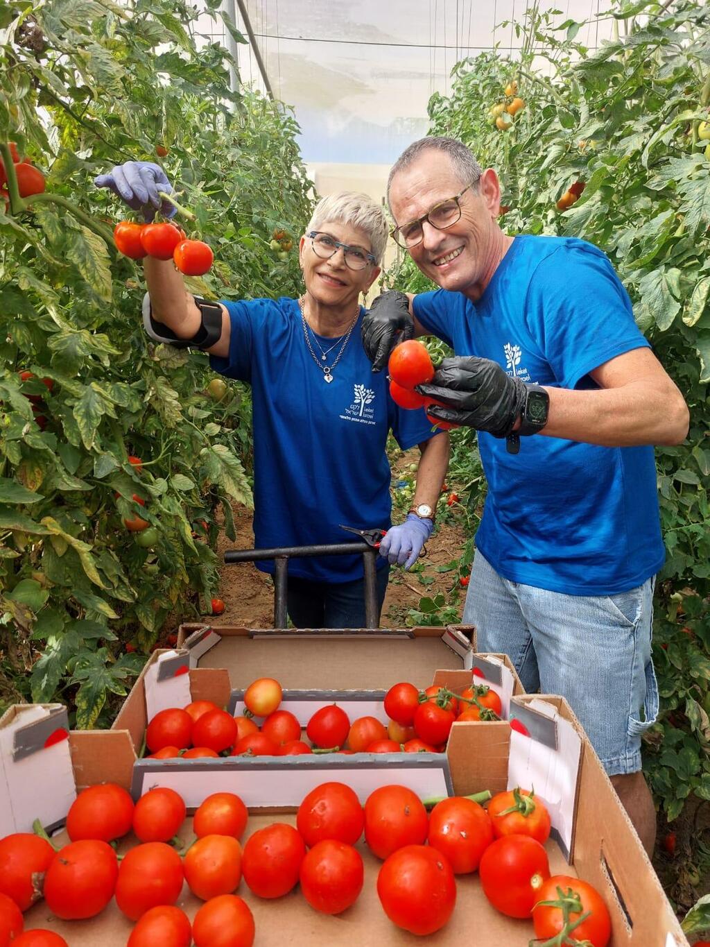 'לקט ישראל', התומך בחקלאי יישובי העוטף 