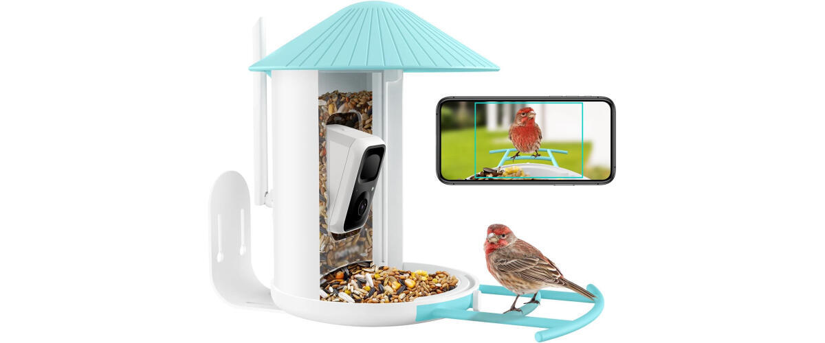 Bird Feeder Camera – Birdfy