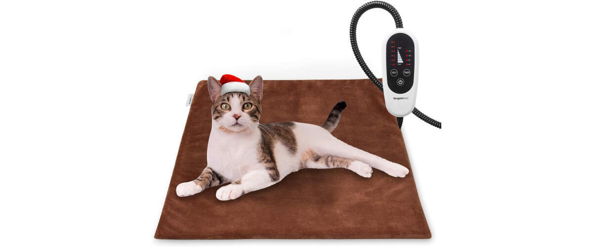 10 Best Cat Cooling Mats and Pads in 2024 - Reviews & Top Picks - Catster