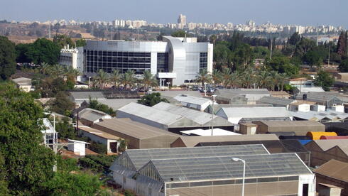 מכון וולקני בראשל"צ לא יועבר, אך שטחו יצומצם לטובת בניית אלפי דירות