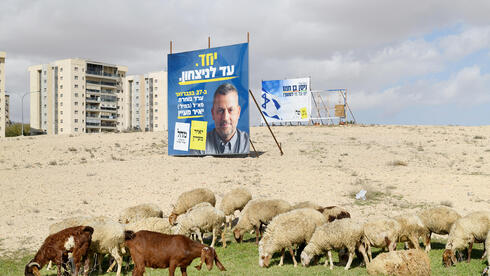 בחסידות גור, המזל הולך עם התורמים 