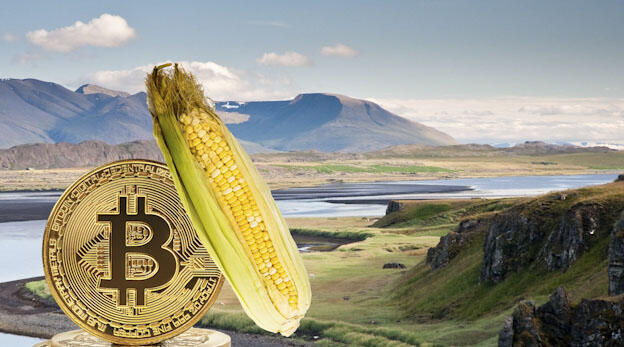 איסלנד עוברת מכריית ביטקוין לגידול תירס