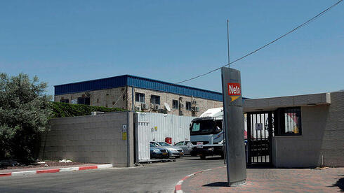 צילום: צפריר אביוב נטו מלינדה: המכירות עלו אך הרווח הנקי ירד ב-12.5%, המניה נופלת