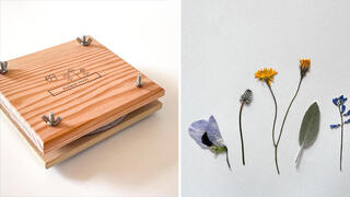 פנאי מייבש פרחים מעץ בעבודת יד של המאיירת והמעצבת סתיו שבת שיוצרת בסטודיו שלה באמירים עולם ילדות נאיבי