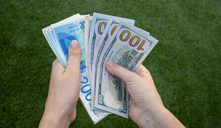 שקל דולר שקלים דולרים כסף מט"ח