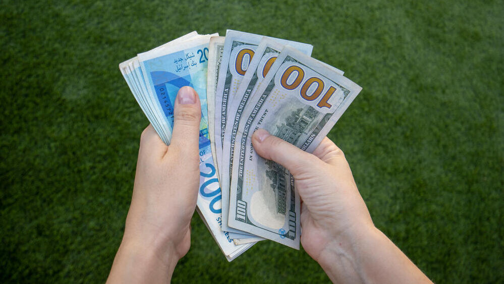 Dollars and shekels (Igal Vaisman / Shutterstock) שקל דולר שקלים דולרים כסף מט"ח