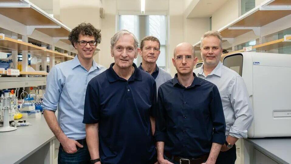 Somite AI secures $47.5 million Series A to expand AI platform for cell therapy