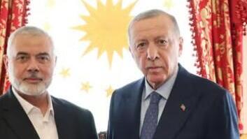 פעולת תגמול: כך מציע משרד החוץ להגיב לחרם הטורקי