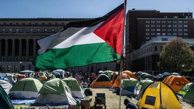 עימותים באוניברסיטת קליפורניה ucla