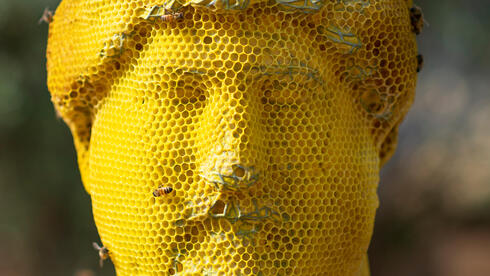 כשמאה אלף דבורים עושות אמנות
