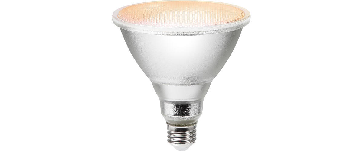 Geeni Outdoor Smart Bulb