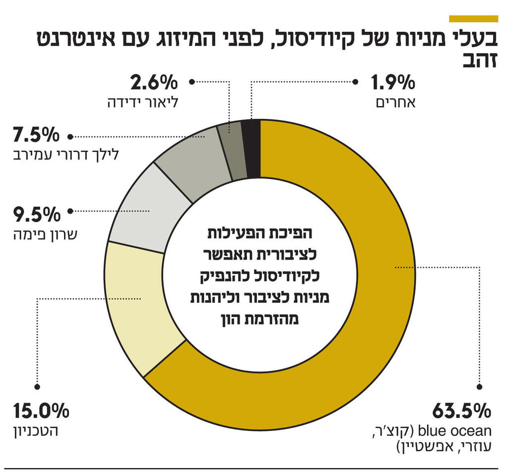 אינפו בעלי מניות של קיודיסול, לפני המיזוג עם אינטרנט