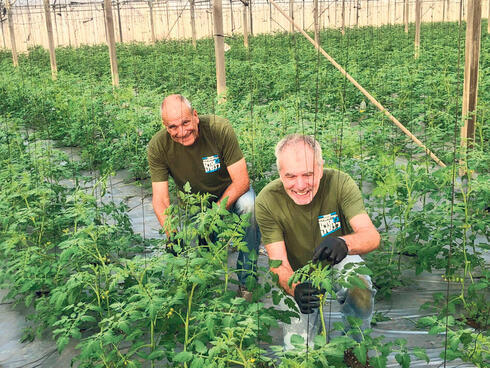 פעולות התנדבות שביצעו עובדי הייטק מטעמו, צילום: יוסי אלוני/פלאש 90 