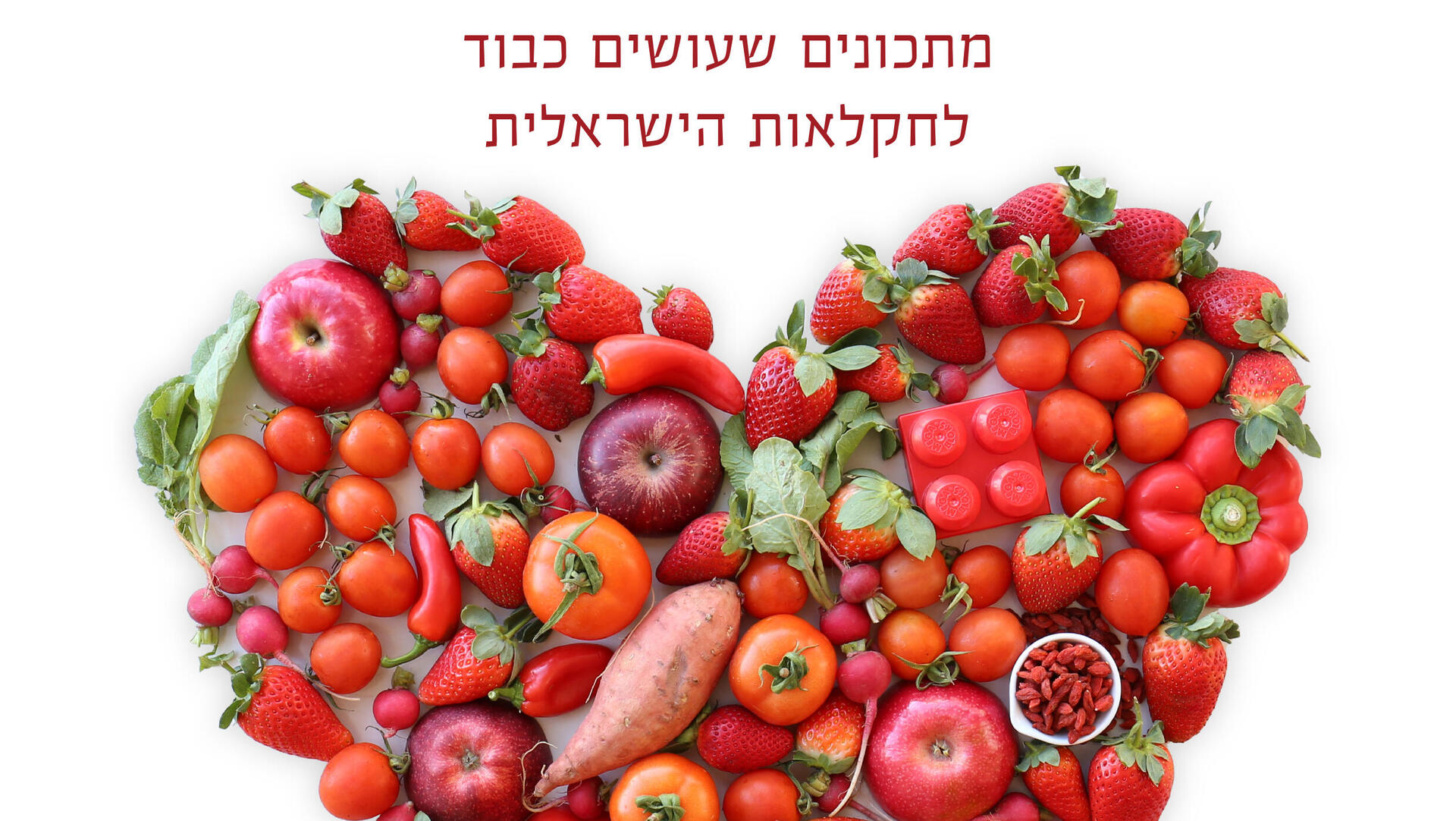 לקט ישראל וערוץ אתר foody פודי משיקים ספר מתכונים "מהחקלאי לצלחת"