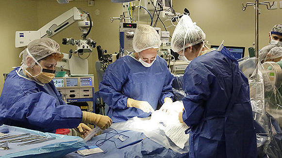 חדר לידה בית חולים איכילוב ניתוח וידאו