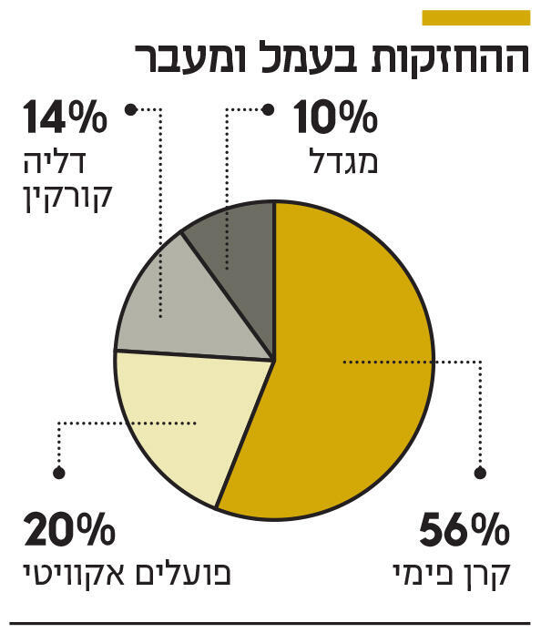 אינפו ההחזקות בעמל ומעבר