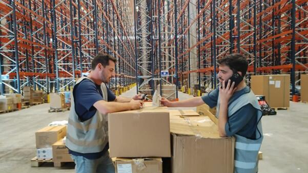 תמהיל העובדים בחברה