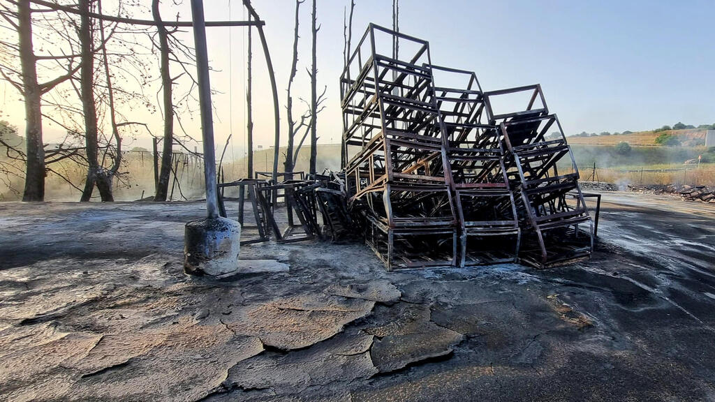 כ-10,000 דונם של שטחי מרעה נשרפו: &quot;אובדן עצום לחקלאות&quot;