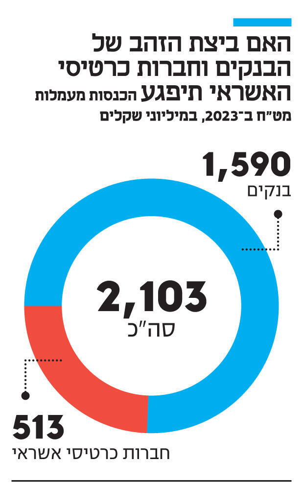 אינפו האם ביצת הזהב של הבנקים וחברות כרטיסי האשראי תיפגע