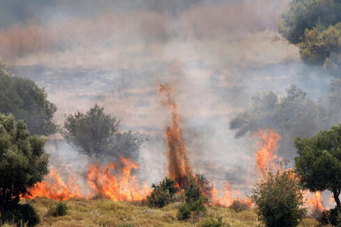 שריפות בגליל בעקבות תקיפות חיזבאללה,  צילום: Jalaa MAREY / AFP