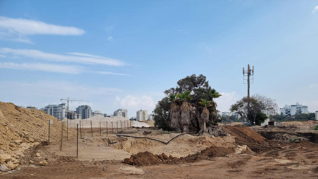 עד נובמבר - רמ&quot;י תשווק קרקעות ל-7,100 דירות חדשות בשדה דב 