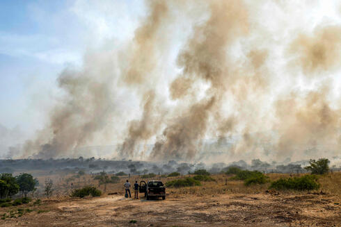 שריפות בצפון, צילום: AFP/ Jalaa Marey