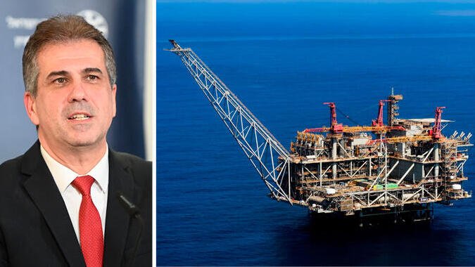 אלי כהן שר החוץ ו  מאגר לווייתן