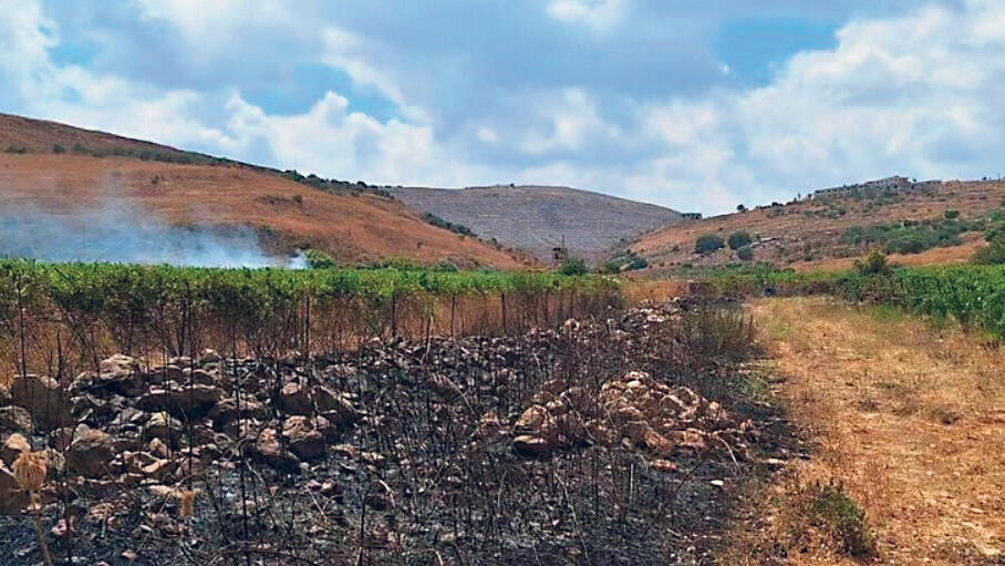 פנאי כרם שרוף של פלטר לאחר פגיעת הטיל של חיזבאללה