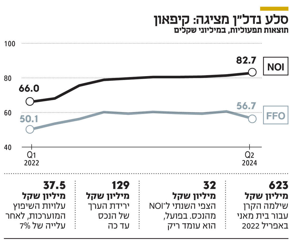 אינפו סלע נדלן