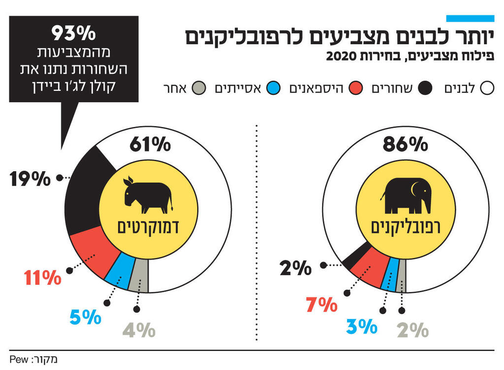 אינפו יותר לבנים מצביעים לרפובליקנים פילוח מצביעים, בחירות